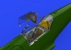 Eduard 648330 Bf 109F cockpit w/ early seat EDUARD 1/48